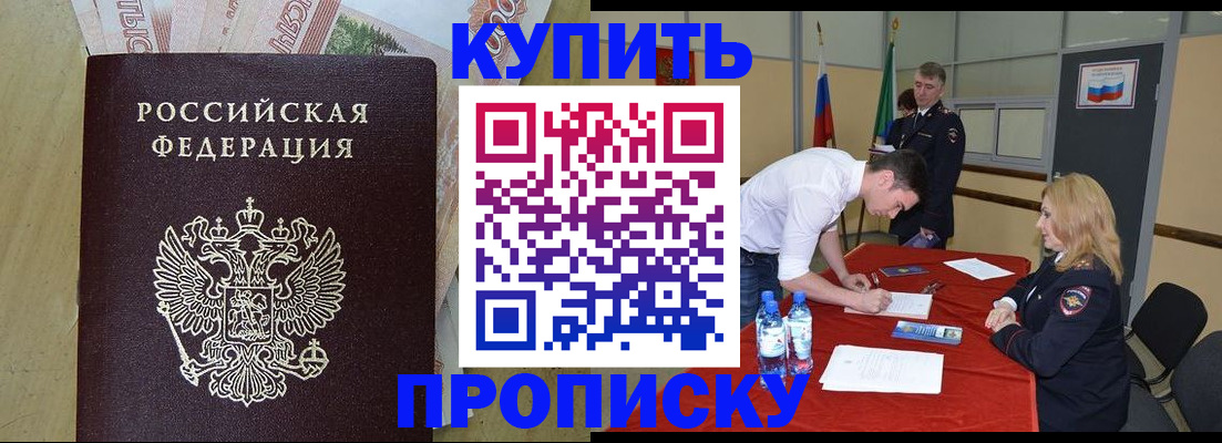 прописка 2025 в Елизово